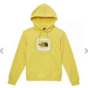 The NorthFace Men's Geo NSE Hoodie